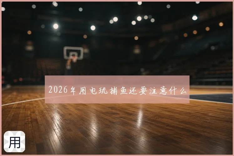2026年用电玩捕鱼还要注意什么